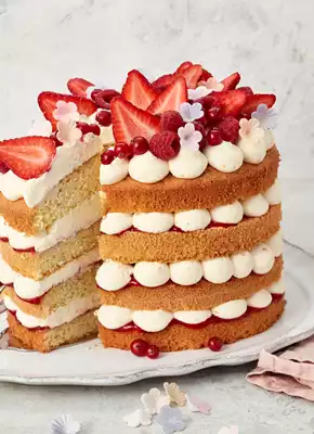 Naked Cake Rezept Dr Oetker