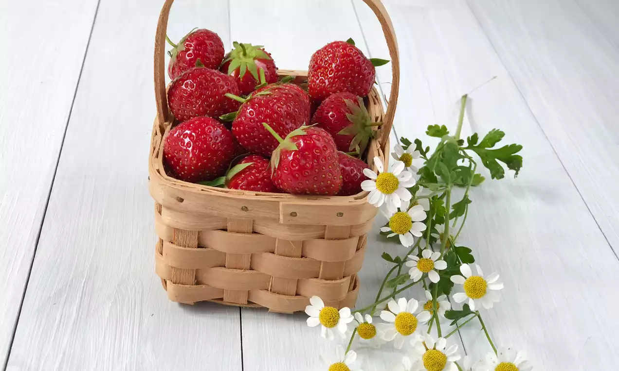 Picture - (min-width: 768px)