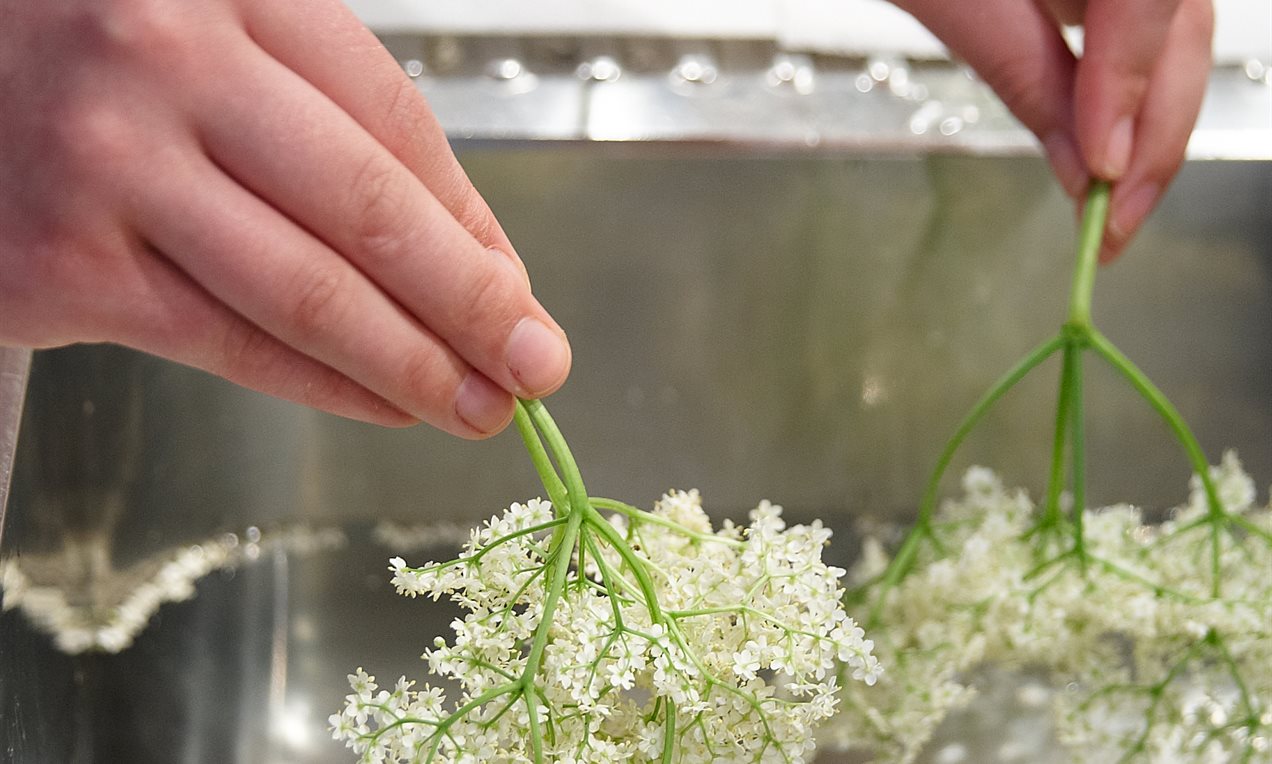 Holunderblütenlikör Rezept | Dr. Oetker Holunderblütenlikör Rezept | Dr. Oetker