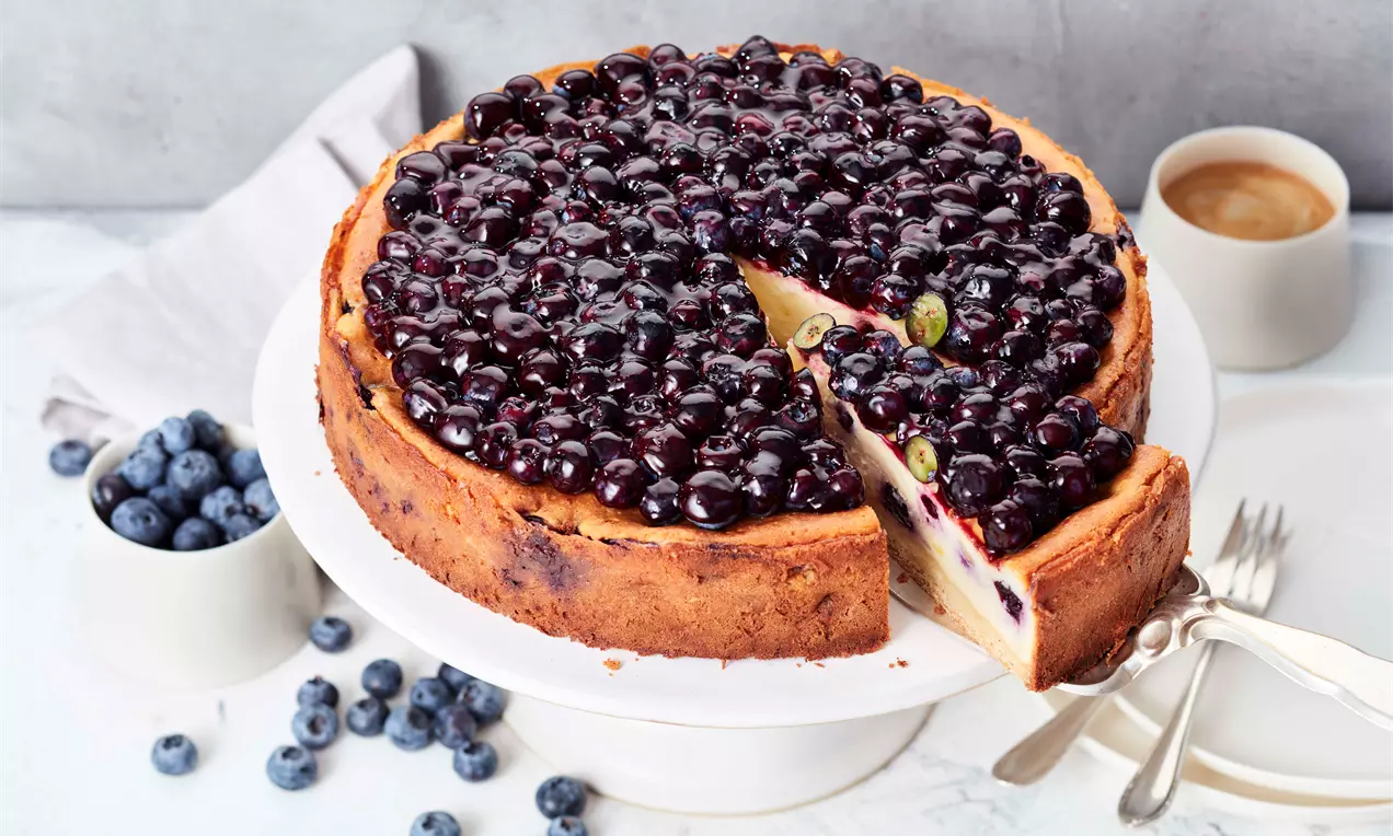 Käsekuchen mit Heidelbeeren, cremige hellgelbe Füllung auf goldbrauner Kruste, glänzende dunkelblaue Beeren und Minzblatt auf weißem Teller