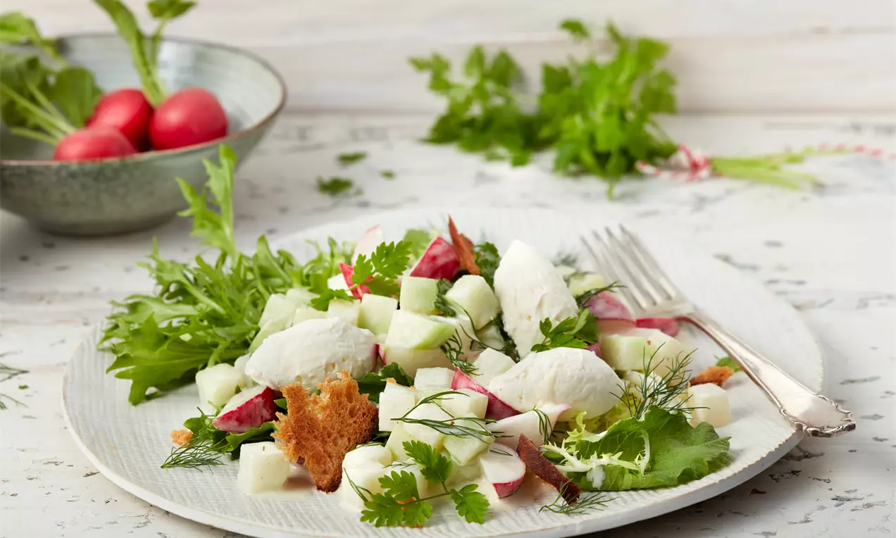 Weiße Ziegenfrischkäse-Nocken auf grünem Salatbett mit Gurkenwürfeln, Radieschen, Kräutern und knusprigem Brot auf einer hellen Keramikplatte