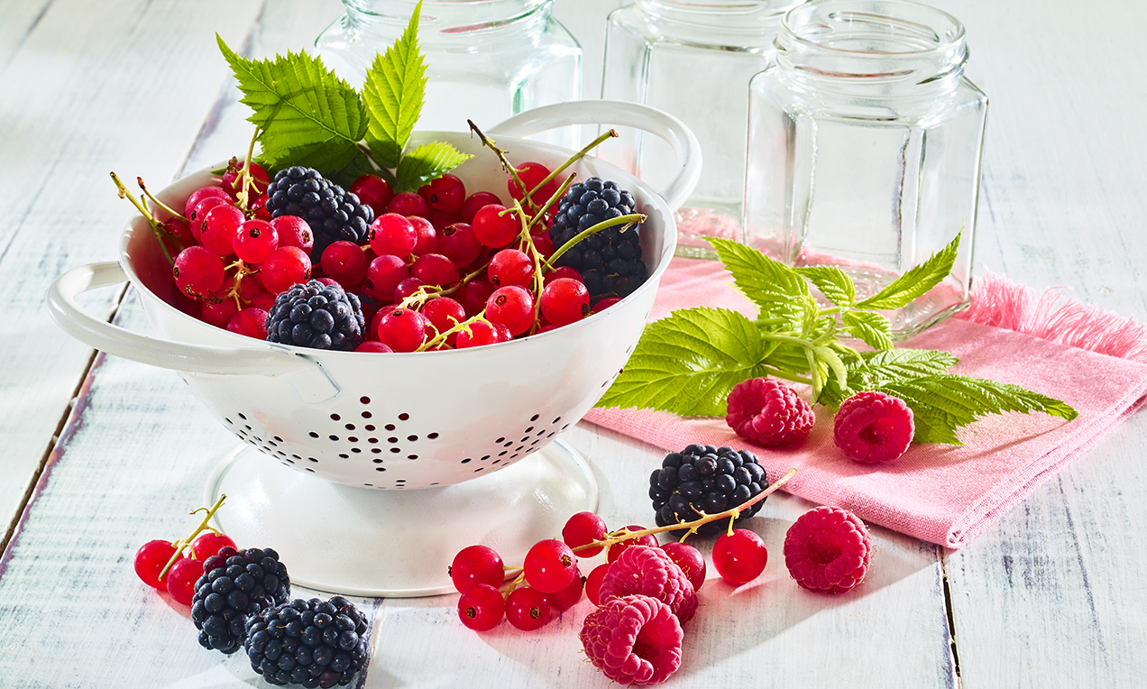 Moodbild Beeren Mix ausschnitt